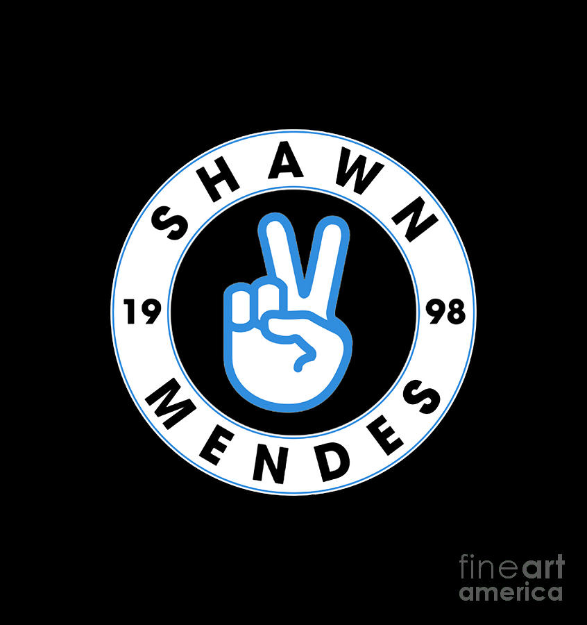 Shawn Mendes Lyrics Stickers for Sale