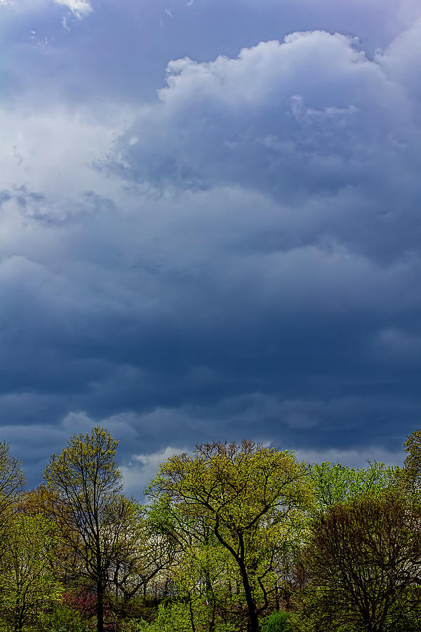 Spring Trees and Rainclouds #13 Photograph by Robert Ullmann