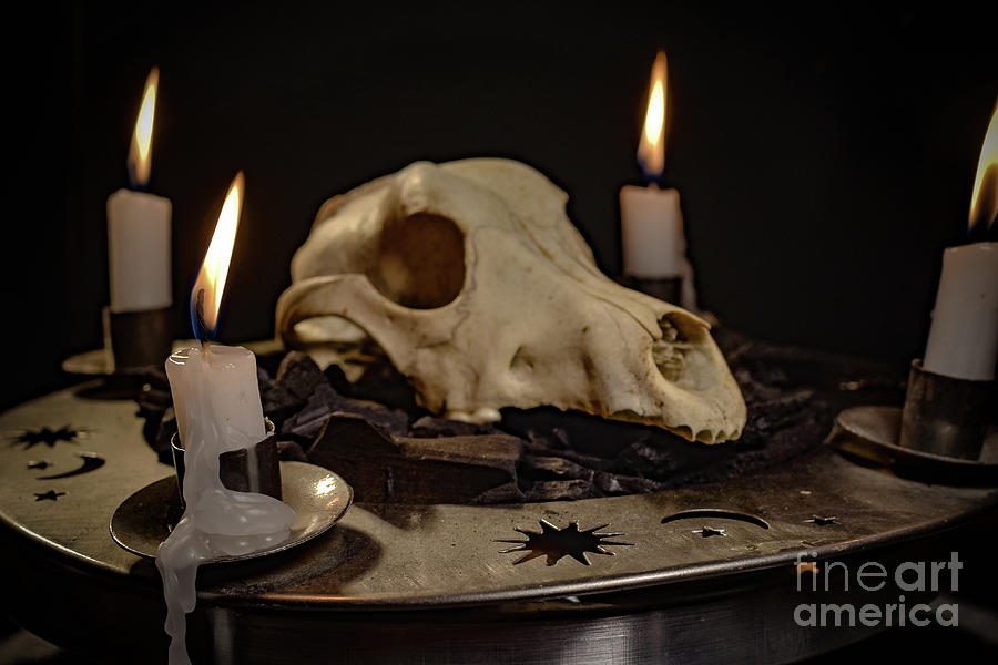 Cake Photograph - Symbols of Occultism #13 by Lyudmila Prokopenko