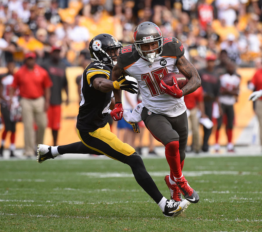 Tampa Bay Buccaneers v Pittsburgh Steelers #13 Photograph by George Gojkovich