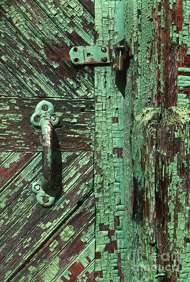 rustic textures photographs - Green Door Photograph by Sharon Hudson
