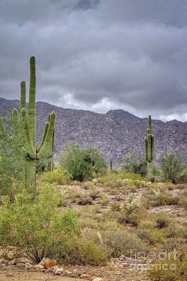 White Tank Mountain Scenes Near Phoenix Arizona Photograph by Kenneth ...