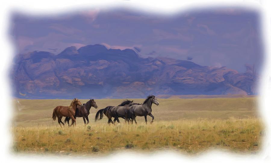 Wild Horses #13 Photograph by Laura Terriere
