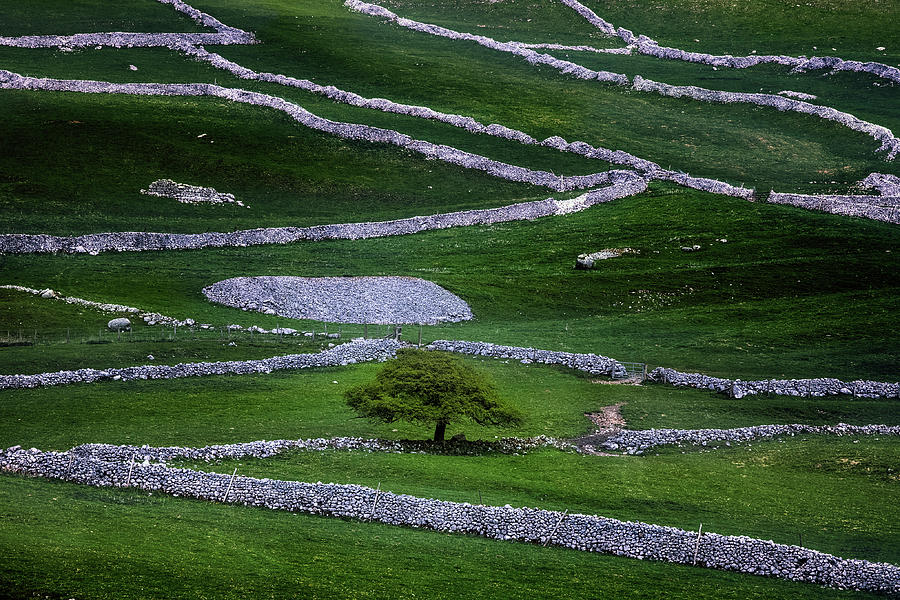 Yorkshire Dales - England #13 Photograph by Joana Kruse