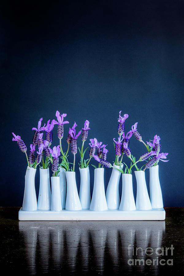 1312 Lavender in White Vase #1 Photograph by Kenneth Johnson