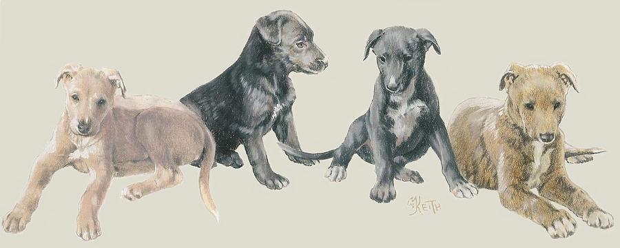 Greyhound Puppies Mixed Media by Barbara Keith