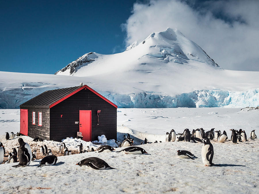 Antarctica Painting by Lauren Dane - Fine Art America