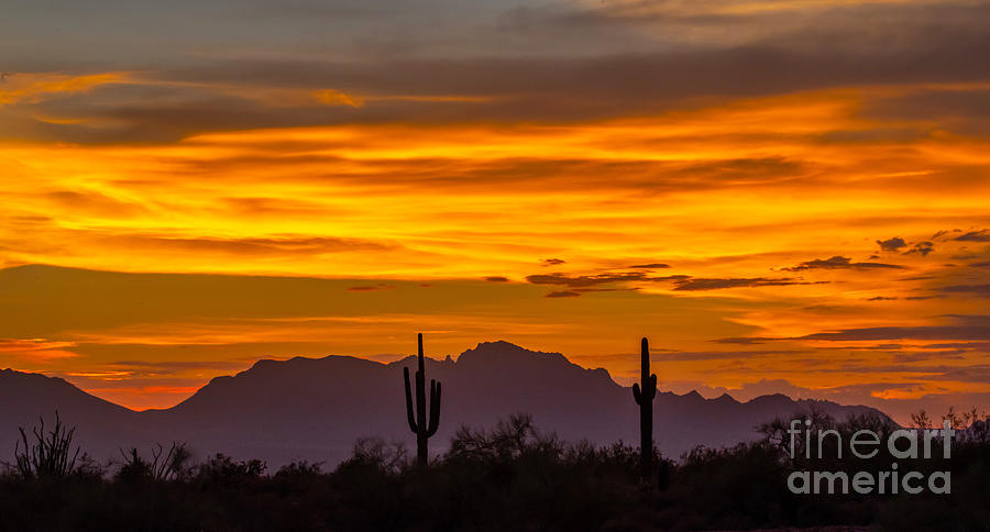 Arizona Sunset #14 Digital Art by Tammy Keyes