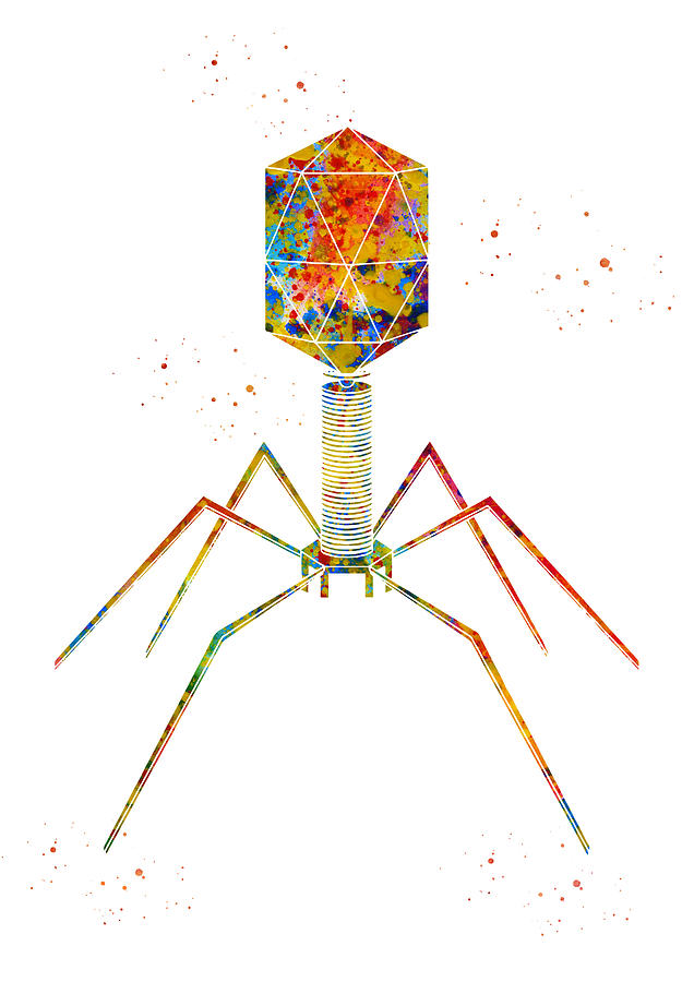 Bacteriophage Digital Art by Erzebet S - Fine Art America