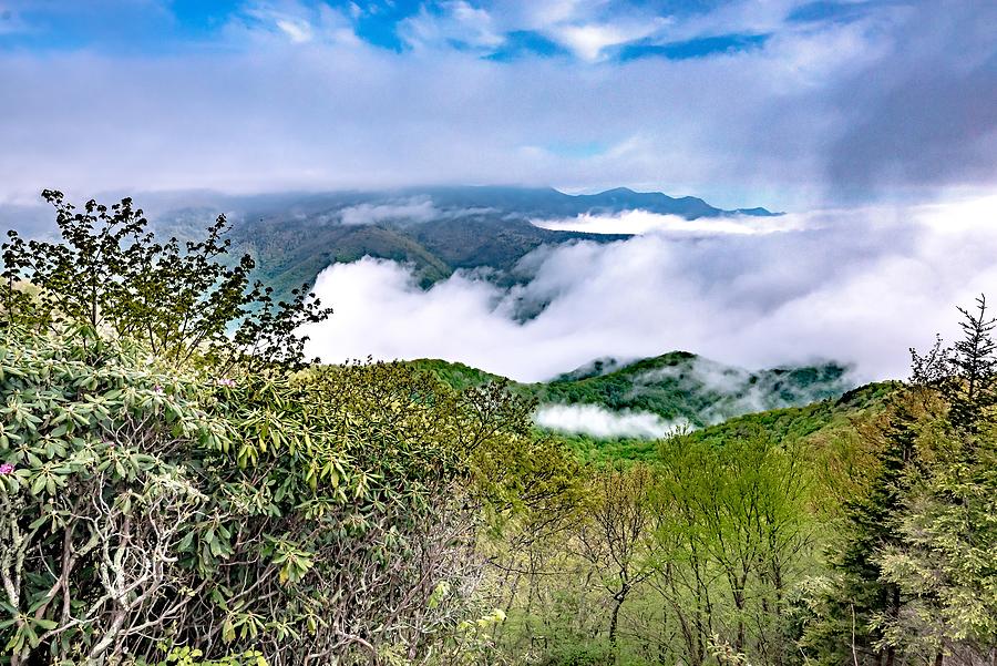Blue Ridge Mountains Near Mount Mitchell And Cragy Gardens #14 Photograph by Alex Grichenko