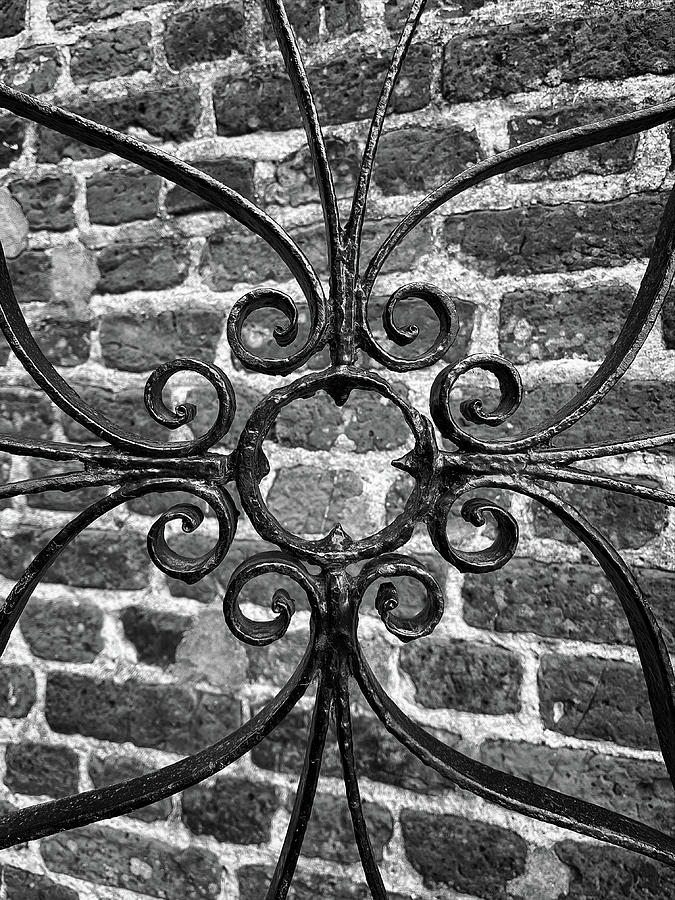 Charleston Wrought Iron Garden Gate in Detail, South Carolina #14 Photograph by Dawna Moore Photography