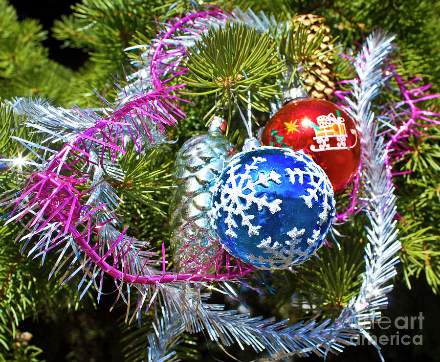 Christmas decorations  #14 Photograph by Irina Afonskaya