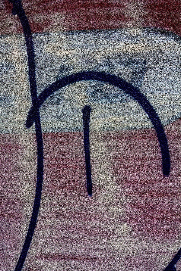 Detail of Graffiti #14 Photograph by Robert Ullmann