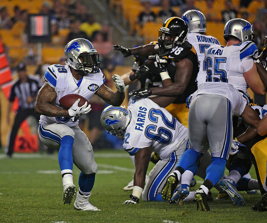 Detroit Lions v Pittsburgh Steelers #14 Photograph by George Gojkovich