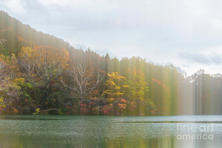 Fall colors of Nikko Japan #14 Photograph by Kiran Joshi