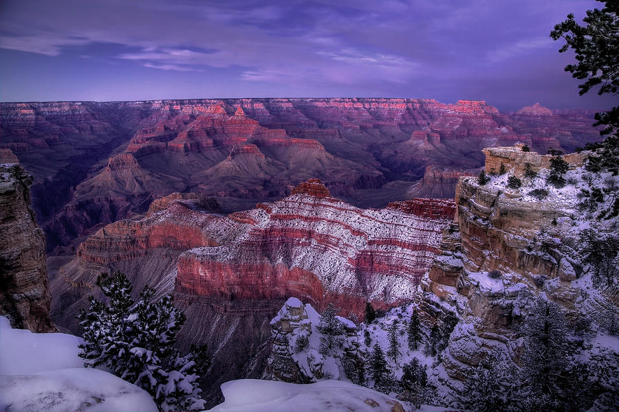 Grand Canyon Winter #14 Photograph by Michael Just