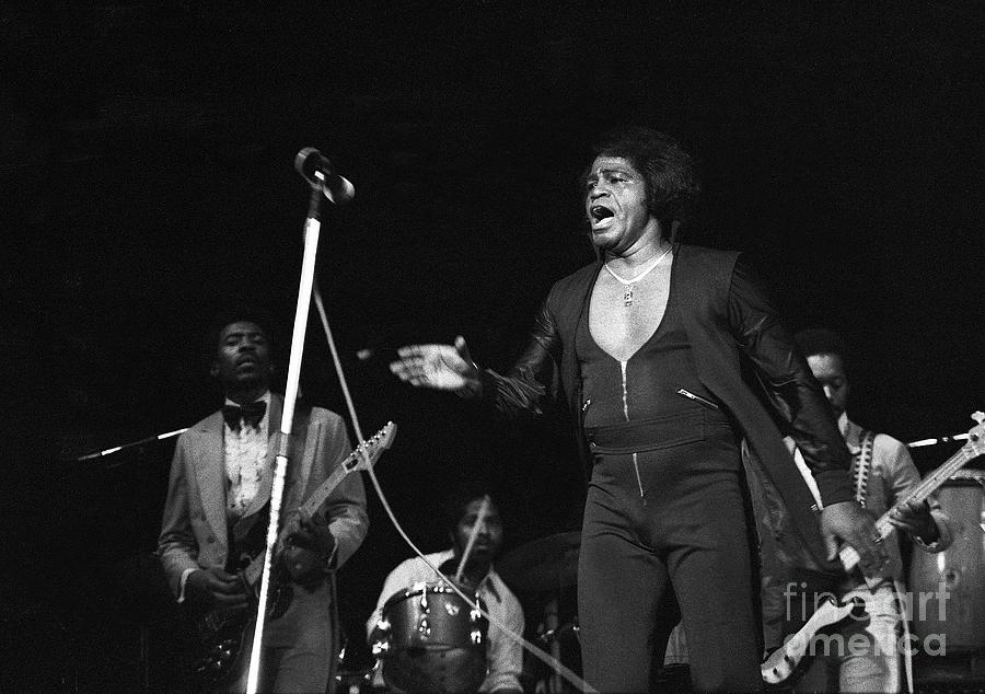 James Brown Photograph by Concert Photos - Fine Art America