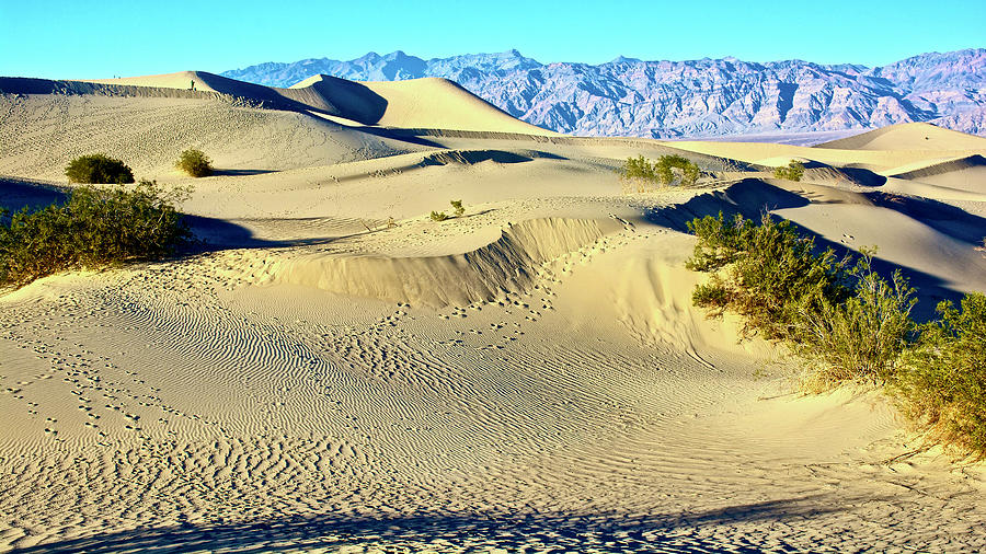 Mesquite Flat Sand Dunes in Death Valley National Park, California ...