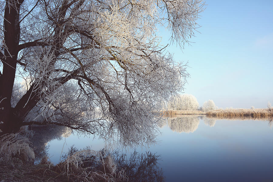 rime frost landscape at Havel river Brandenburg - Germany Photograph by ...