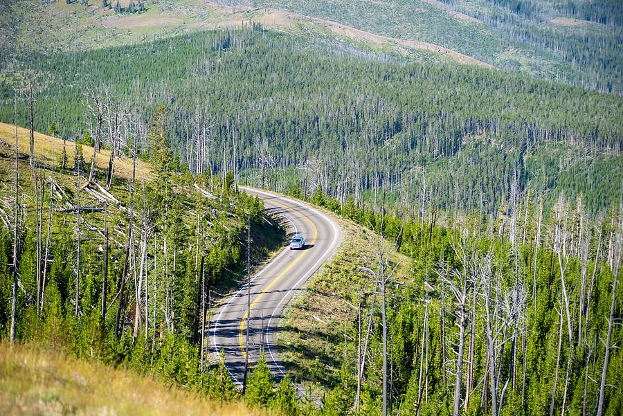 scenery at Mt Washburn trail in Yellowstone National Park, Wyomi #14 Photograph by Alex Grichenko