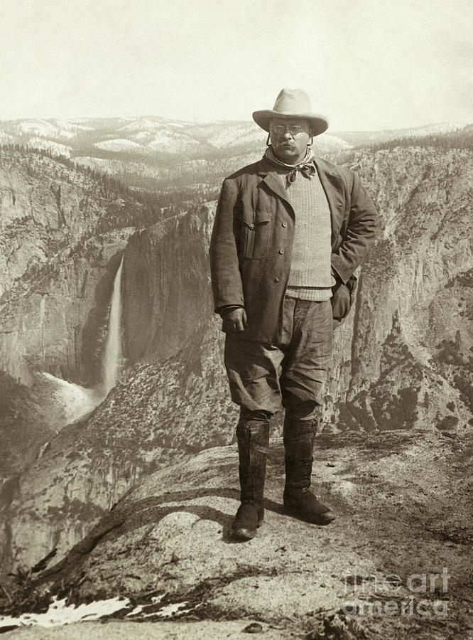 Theodore Roosevelt #12 Photograph by Granger