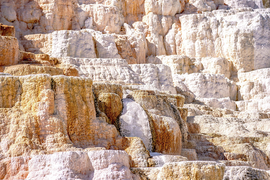 Travertine Terraces, Mammoth Hot Springs, Yellowstone #14 Photograph by Alex Grichenko