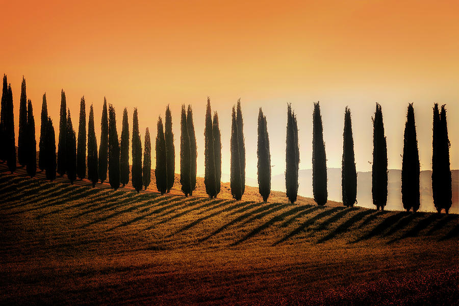 Tuscany - Italy #14 Photograph by Joana Kruse