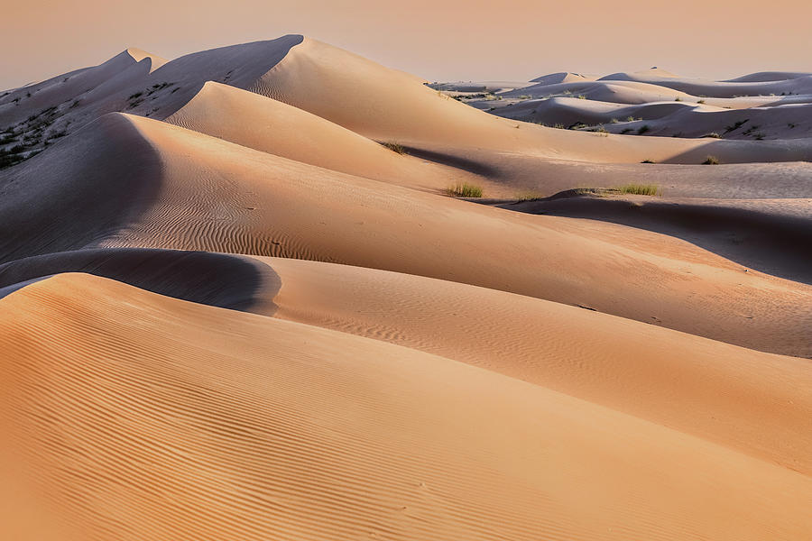 Wahiba Sands - Oman #14 Photograph by Joana Kruse