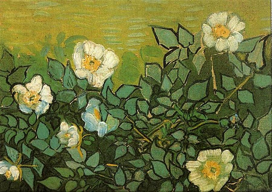 Vincent van Gogh - Wild roses Painting by Alexandra Arts
