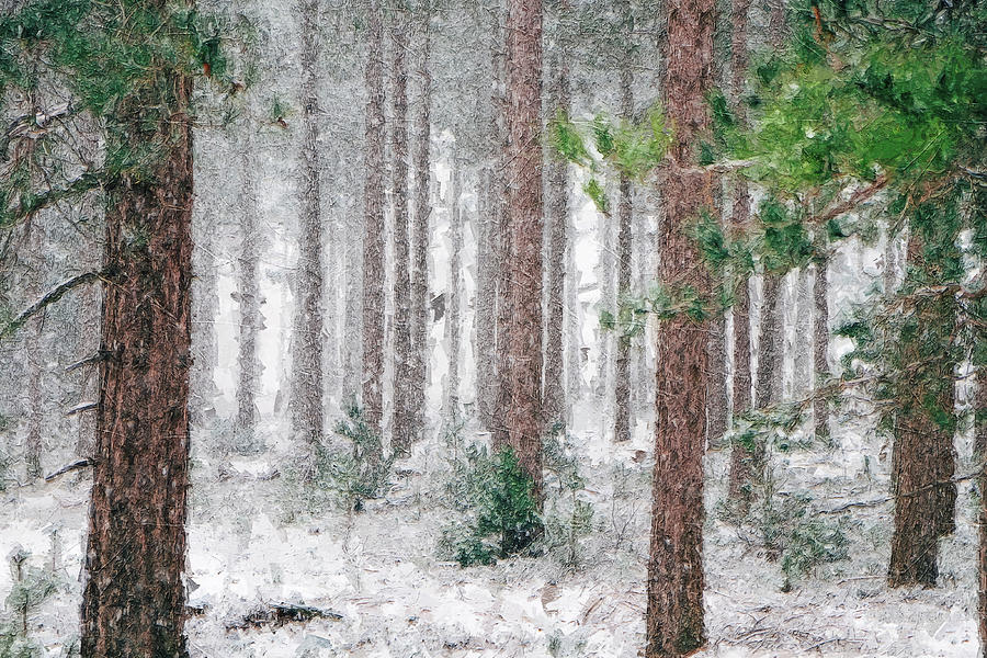 Winter Story #14 Digital Art by TintoDesigns