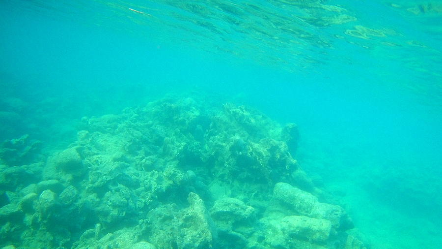 Sea Turtle Caretta - Caretta Zakynthos Island Greece Photograph