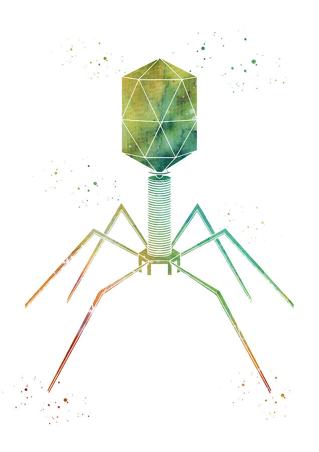 Bacteriophage Digital Art by Erzebet S - Pixels