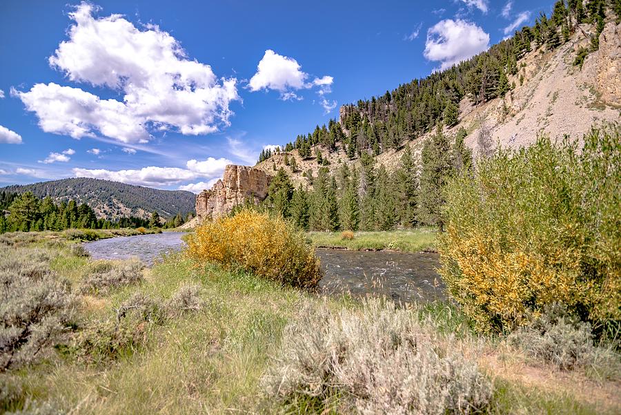 Beautiful Nature Scenes Along Yellostone River In Wyoming #15 Photograph by Alex Grichenko