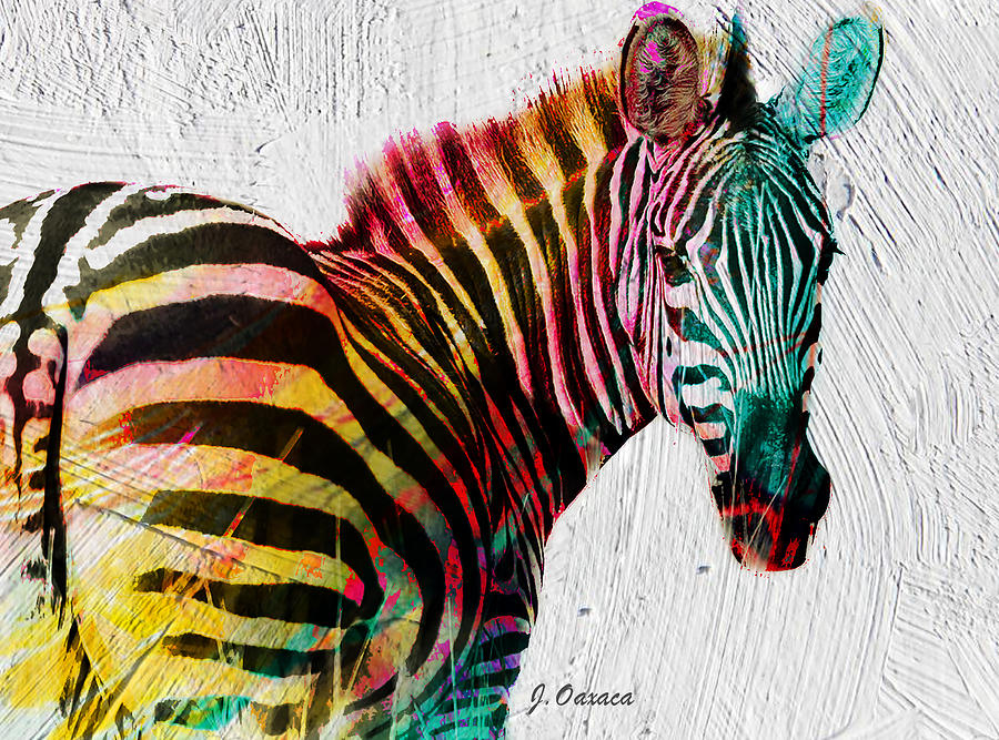Rainbow Stripes Mixed Media by J U A N - O A X A C A