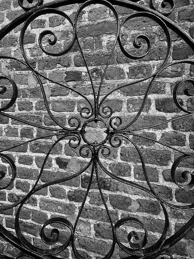 Charleston Wrought Iron Garden Gate in Detail, South Carolina #15 Photograph by Dawna Moore Photography