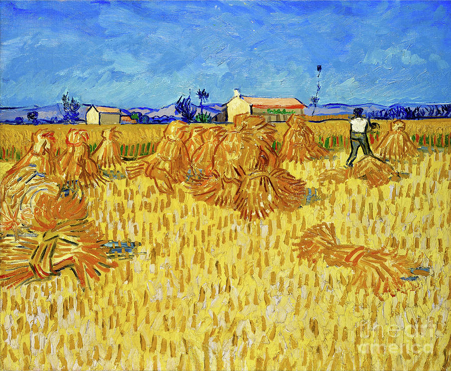 Corn Harvest In Provence By Vincent Van Gogh Painting