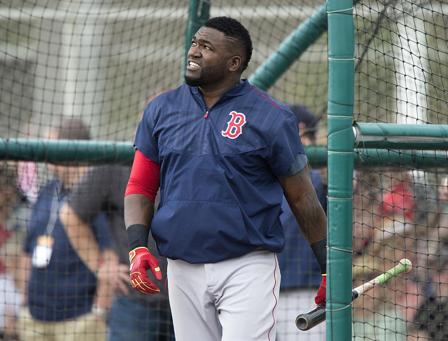 David Ortiz #15 Photograph by Michael Ivins/Boston Red Sox