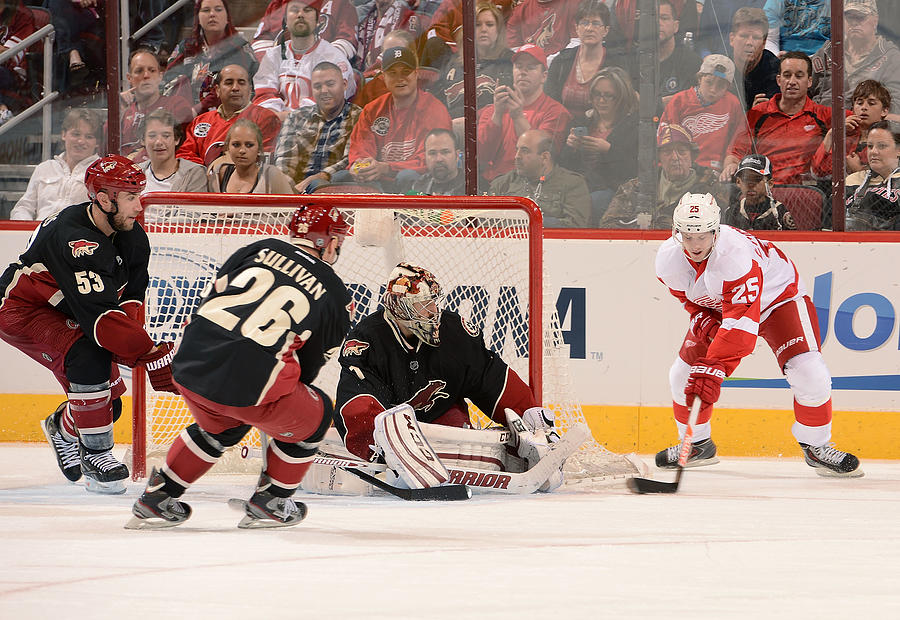 Detroit Red Wings v Phoenix Coyotes #15 Photograph by Norm Hall