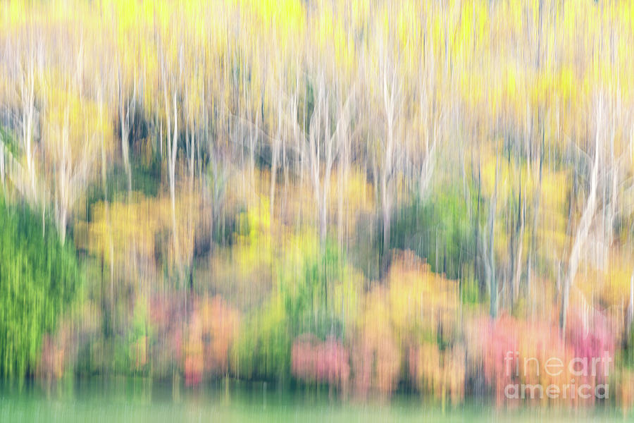 Fall colors of Nikko Japan #15 Photograph by Kiran Joshi