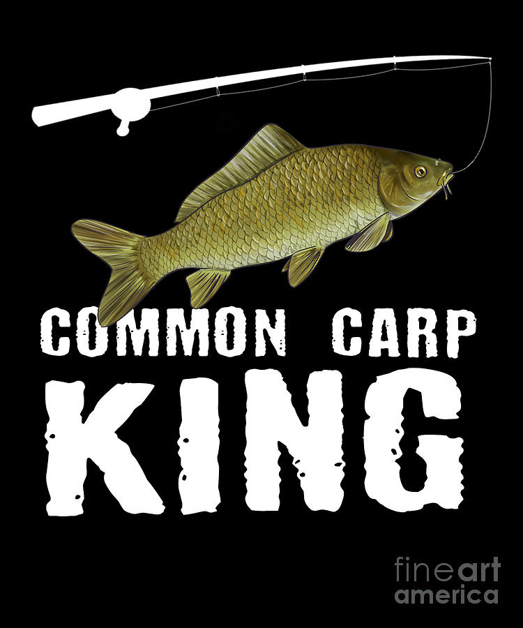 Funny Carp Fishing Freshwater Fish Gift Digital Art by Lukas Davis - Pixels