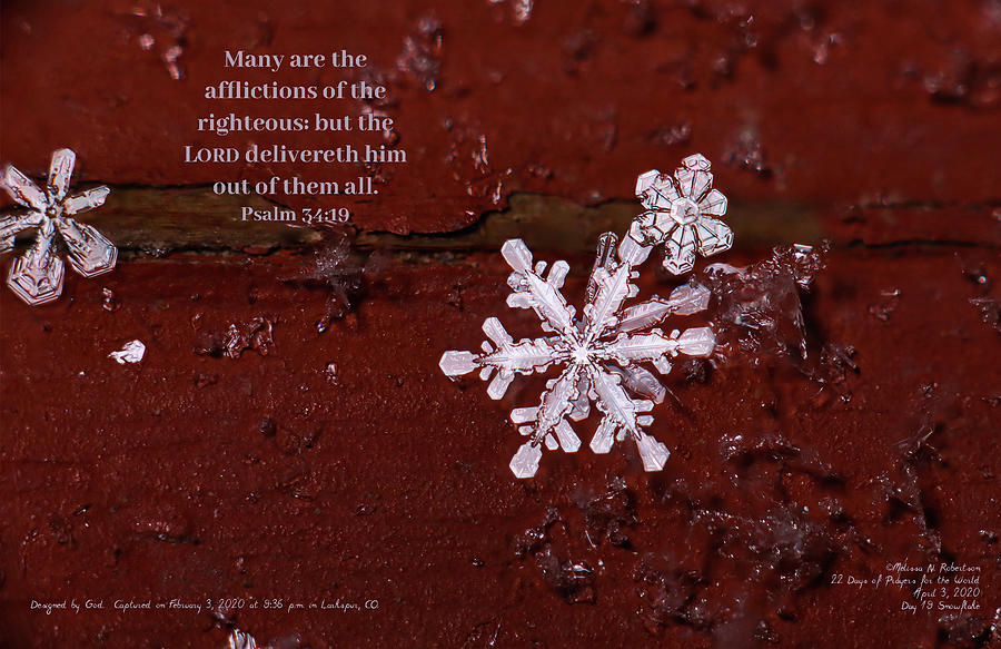 Inspirational Real Life Snowflake Photograph Bible Verse Scripture ...