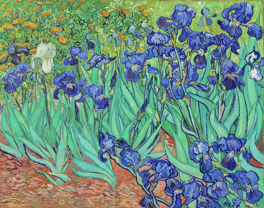 Vincent Van Gogh Painting - Irises #15 by Vincent van Gogh