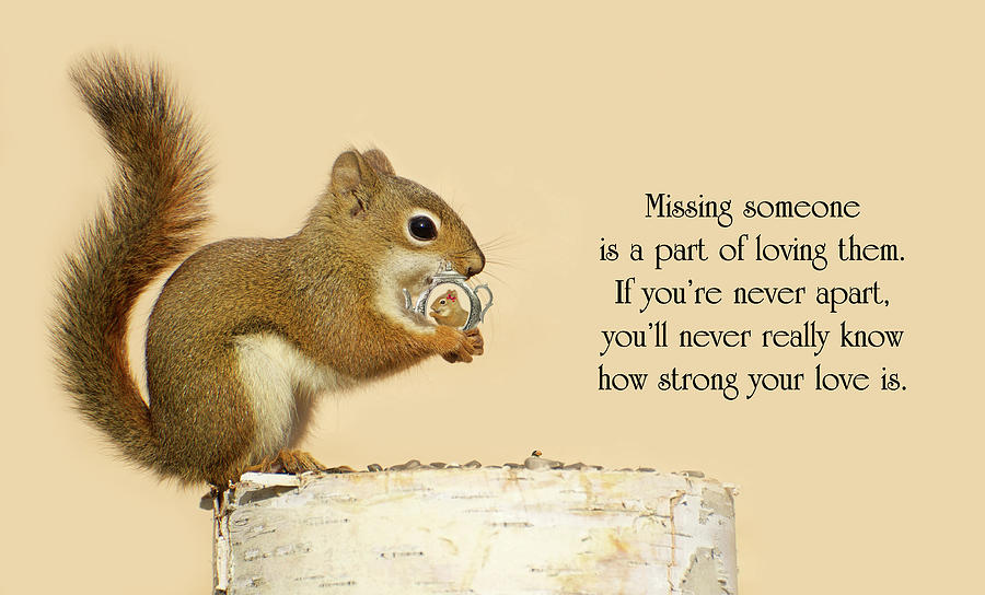 Life Quote/greeting Card Photograph