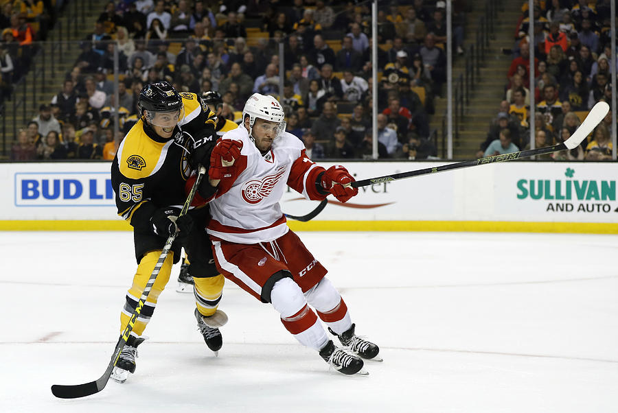 NHL: SEP 28 Preseason - Red Wings at Bruins #15 Photograph by Icon Sportswire