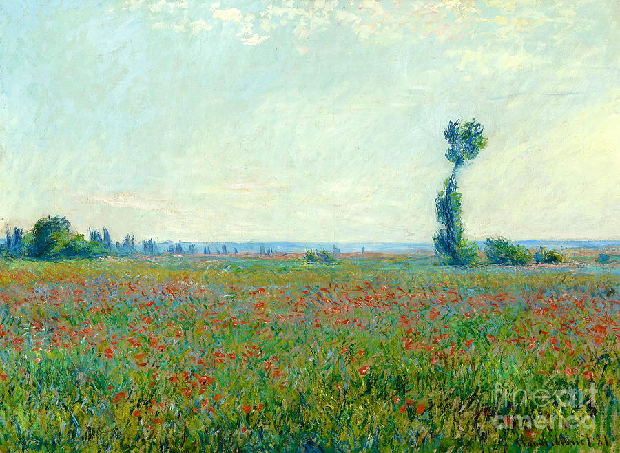 Poppy field #15 Painting by Claude Monet