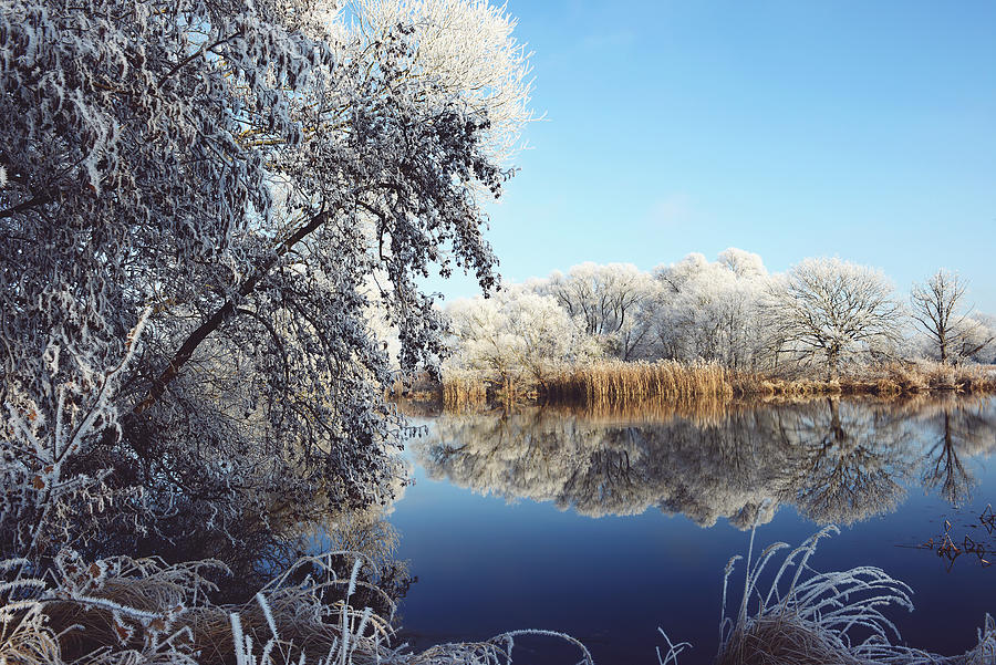 rime frost landscape at Havel river Brandenburg - Germany Photograph by ...