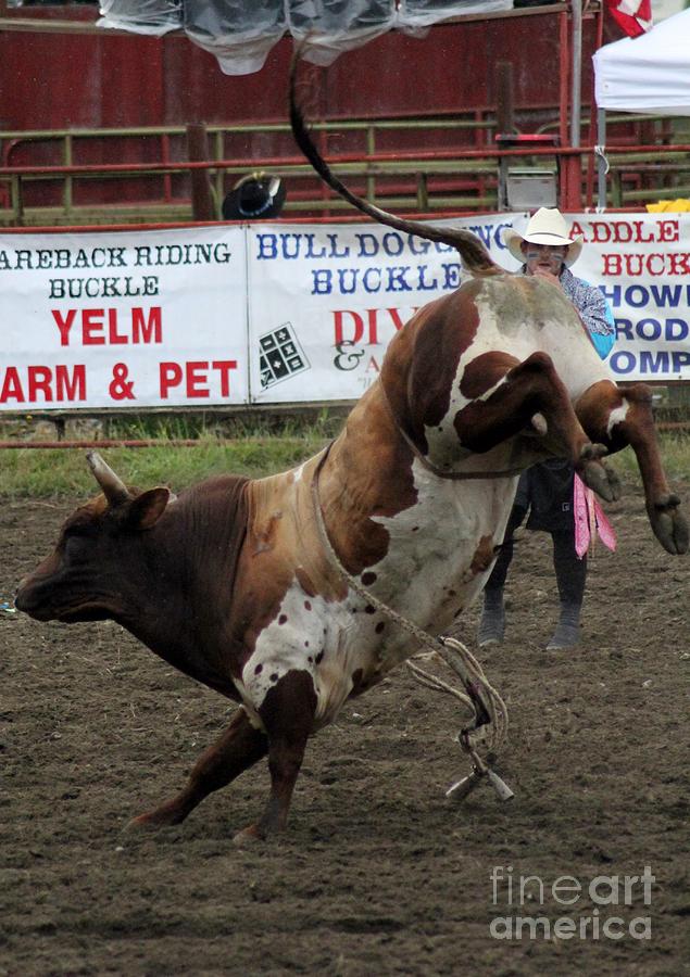 Roy Rodeo Photograph by Ronald Hanson Fine Art America