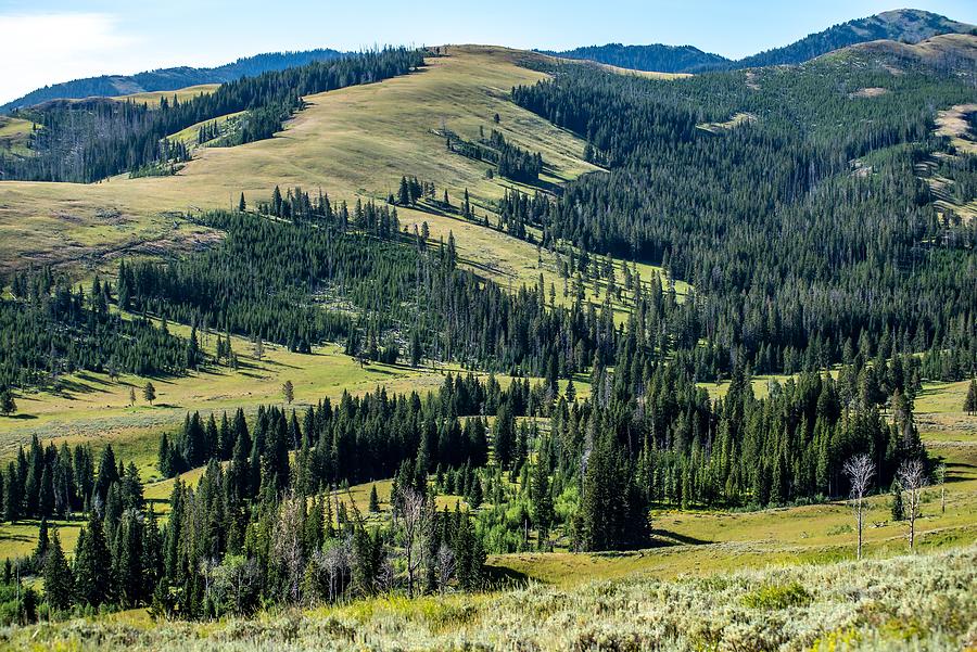 scenery at Mt Washburn trail in Yellowstone National Park, Wyomi #15 Photograph by Alex Grichenko