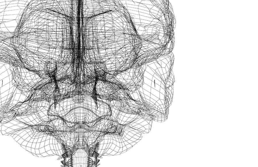 The brainstem #15 Drawing by MedicalRF.com