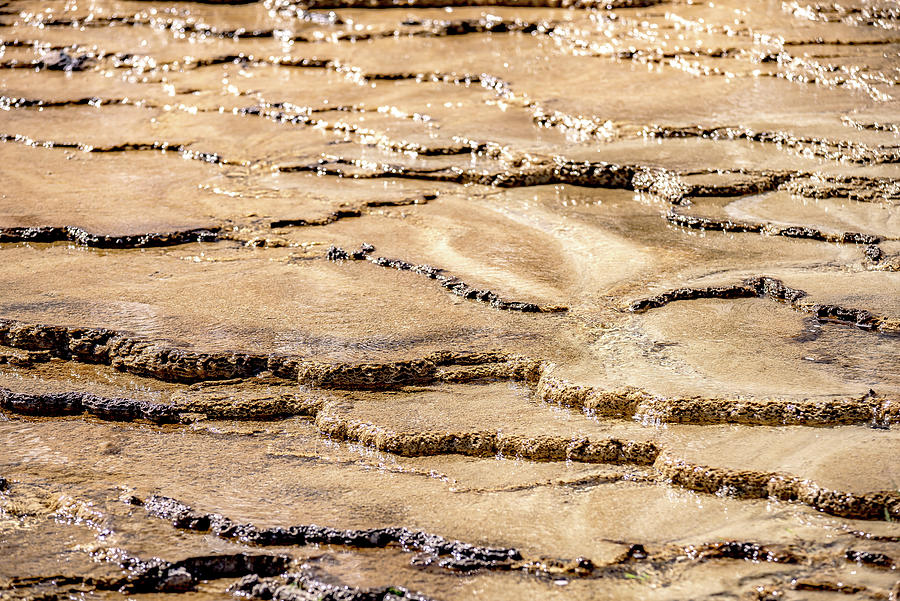 Travertine Terraces, Mammoth Hot Springs, Yellowstone #15 Photograph by Alex Grichenko